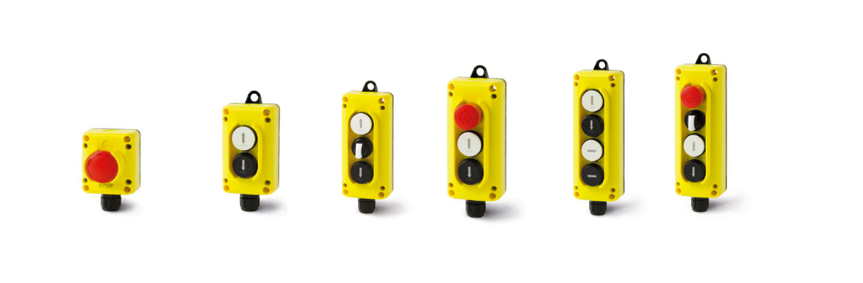 TLP Series Pendant Stations Cover Image